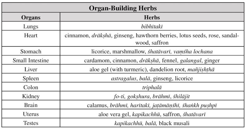 Table with herbs and benefits to organs