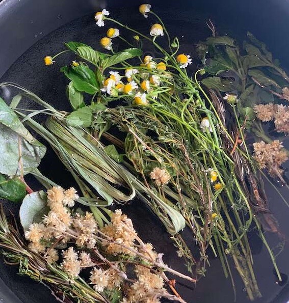 Brewing fresh herbs